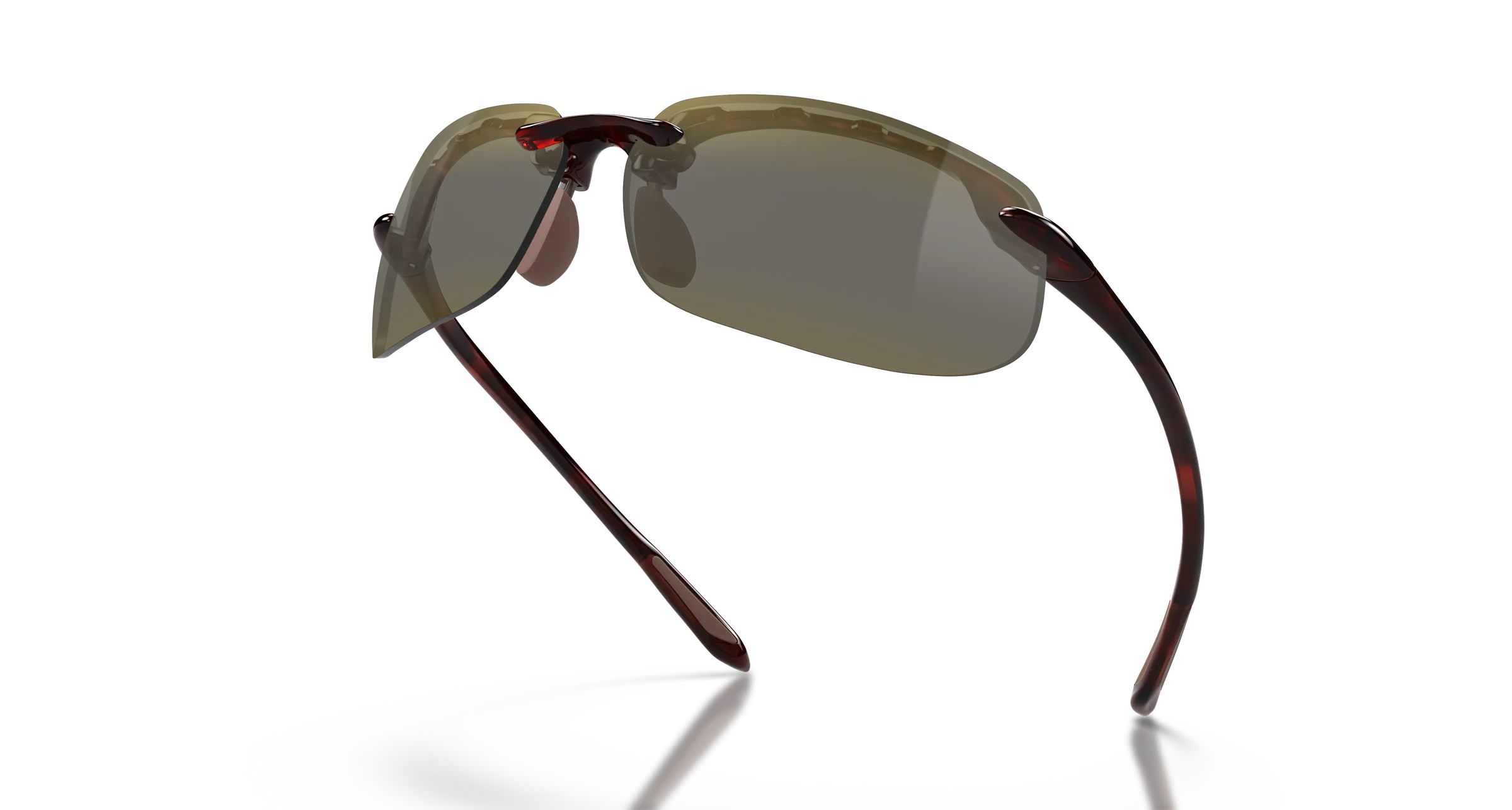 BANYANS_H412-10, top view